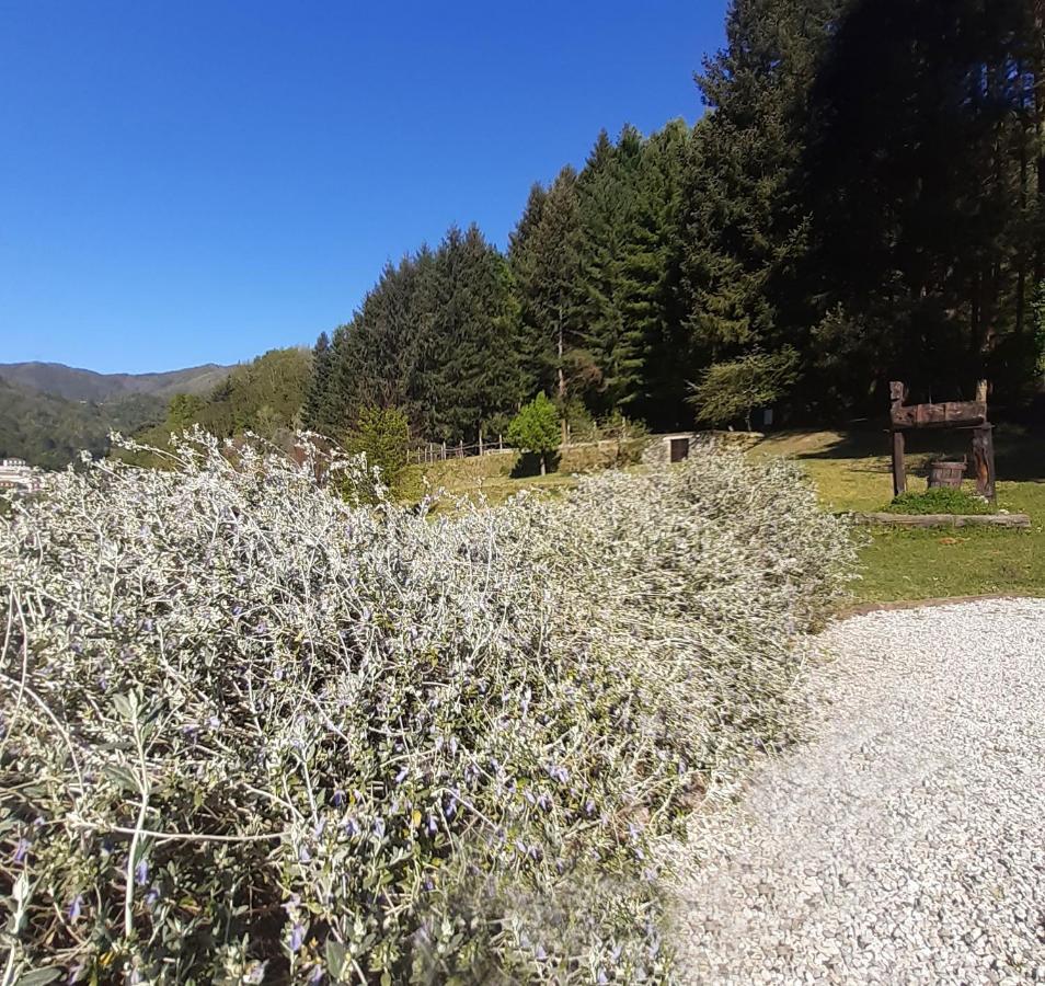 Il Bosco Di Campo Marzano Green & Sky 보르조나사 외부 사진